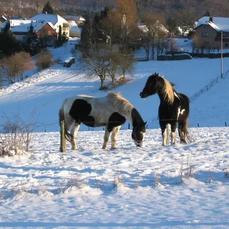 Holiday home Sabine Comfortable Wollmerschied