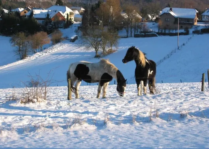 Nyaraló Sabine Comfortable Wollmerschied
