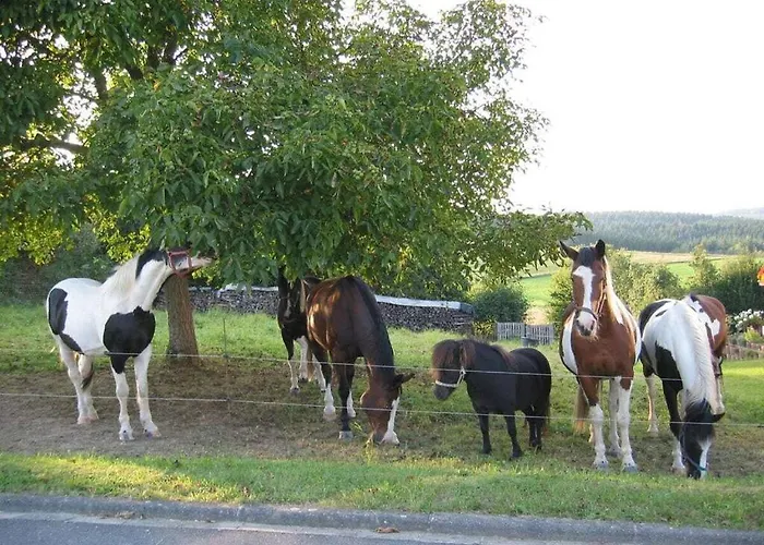 Sabine Comfortable Nyaraló Wollmerschied